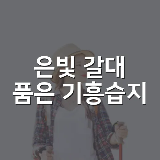 은빛 갈대 품은 기흥습지