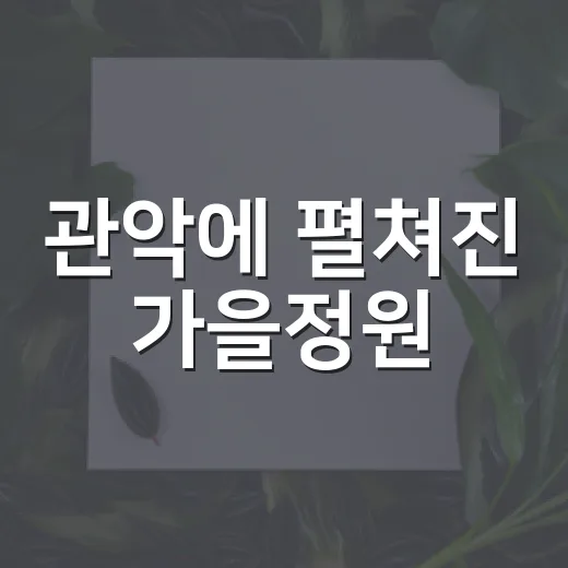 관악에 펼쳐진 가을정원
