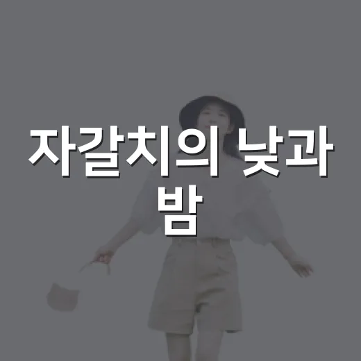 자갈치의 낮과 밤