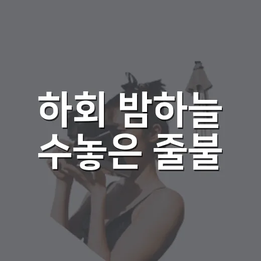 하회 밤하늘 수놓은 줄불