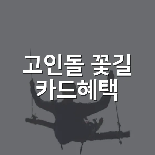 고인돌 꽃길 카드혜택