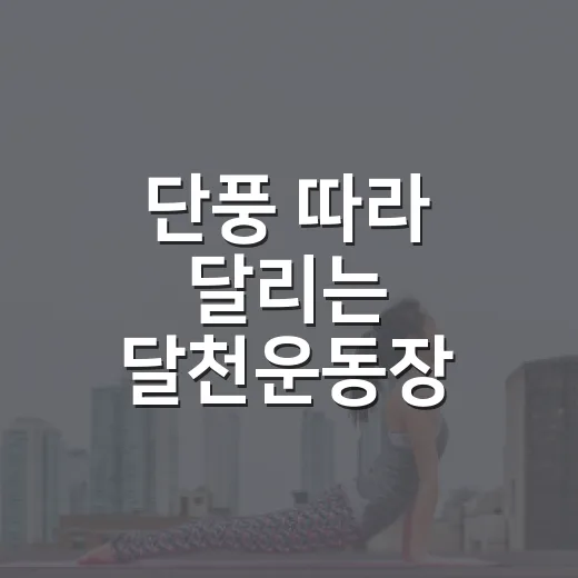 단풍 따라 달리는 달천운동장