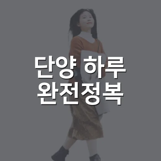 단양 하루 완전정복
