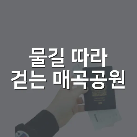 물길 따라 걷는 매곡공원