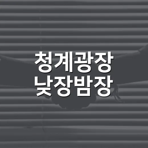 청계광장 낮장밤장