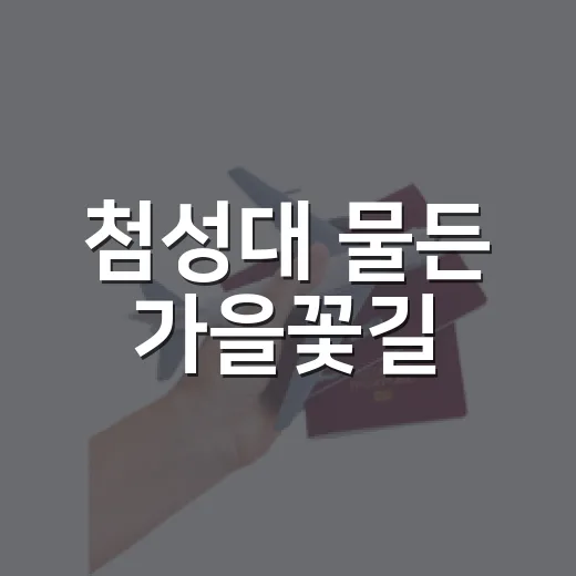 첨성대 물든 가을꽃길