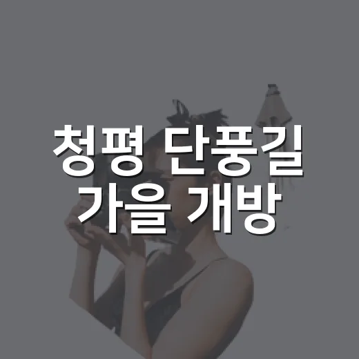 청평 단풍길 가을 개방