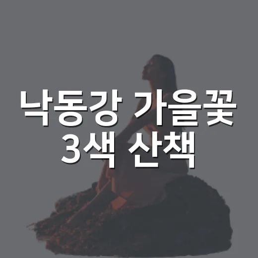 낙동강 가을꽃 3색 산책