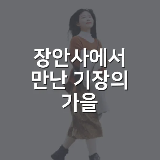 장안사에서 만난 기장의 가을