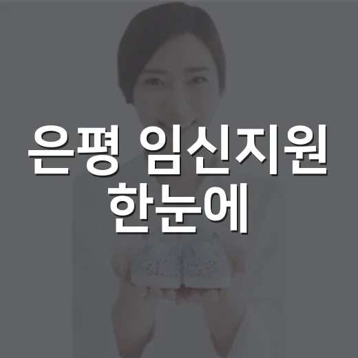 은평 임신지원 한눈에