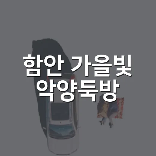 함안 가을빛 악양둑방