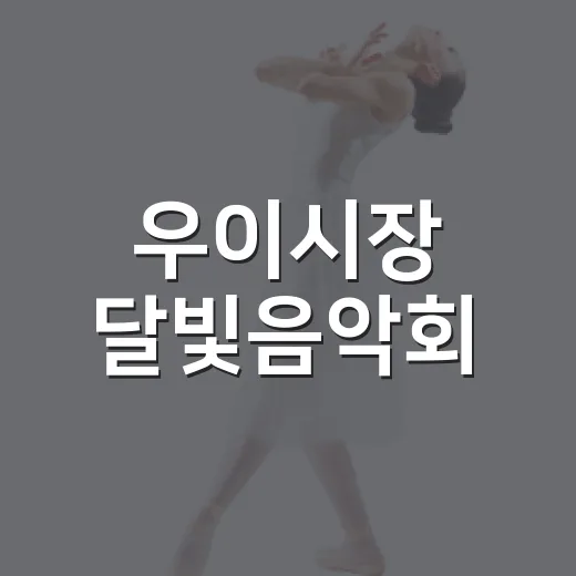 우이시장 달빛음악회