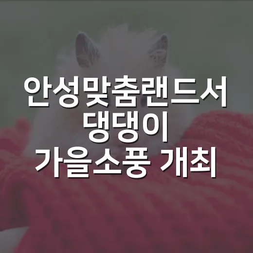 안성맞춤랜드서 댕댕이 가을소풍 개최