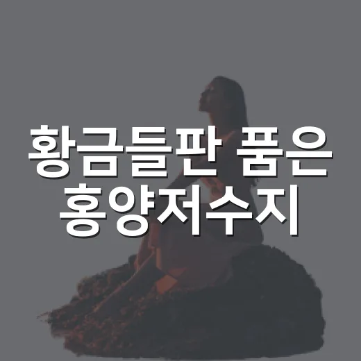 황금들판 품은 홍양저수지