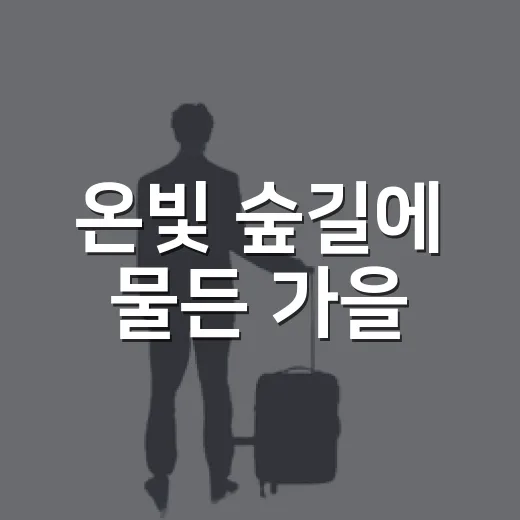 온빛 숲길에 물든 가을