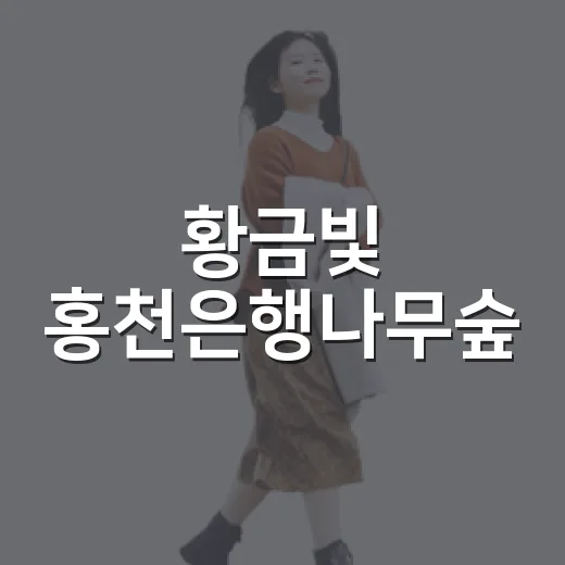 황금빛 홍천은행나무숲