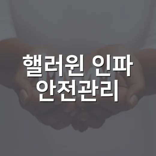 핼러윈 인파 안전관리, 전국 28곳 대상