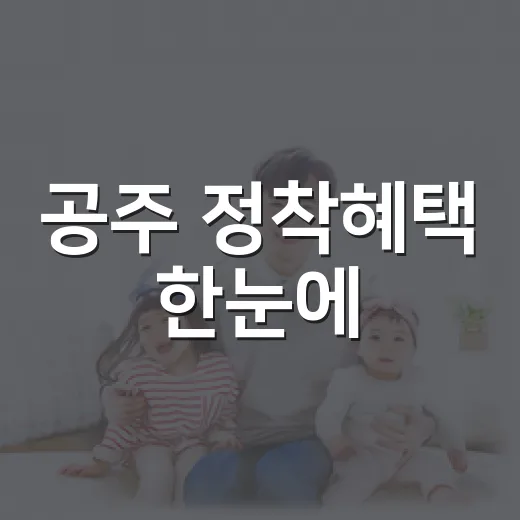 공주 정착혜택 한눈에