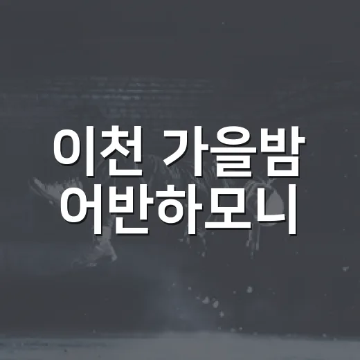이천 가을밤 어반하모니