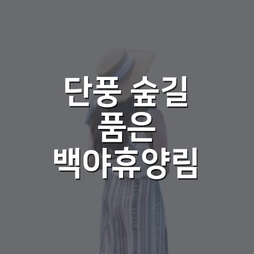 단풍 숲길 품은 백야휴양림