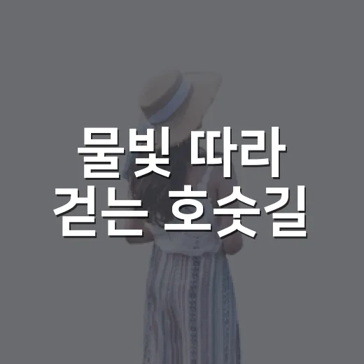 물빛 따라 걷는 호숫길