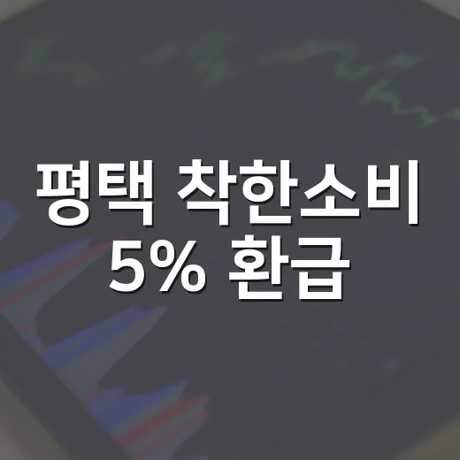 평택 착한소비 5% 환급