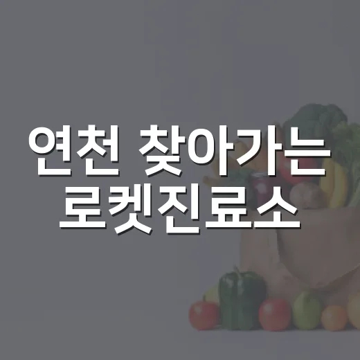 연천 찾아가는 로켓진료소