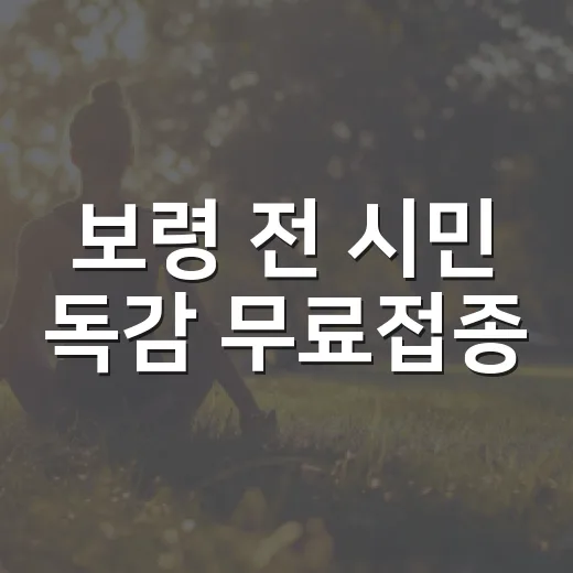 보령 전 시민 독감 무료접종
