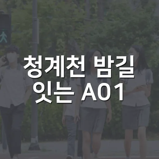청계천 밤길 잇는 A01