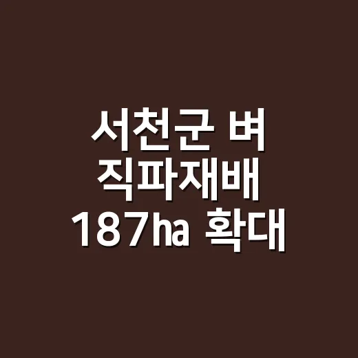 서천군 벼 직파재배 187㏊ 확대