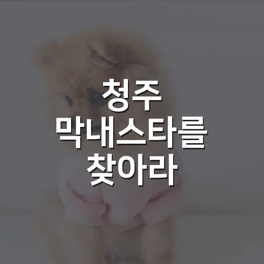 청주 막내스타를 찾아라