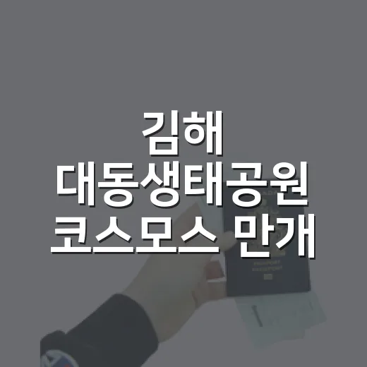 김해 대동생태공원 코스모스 만개 풍경