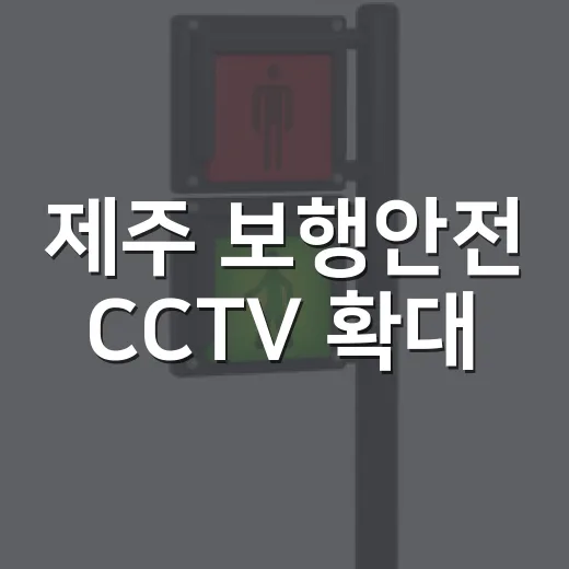 제주 보행안전 CCTV 확대