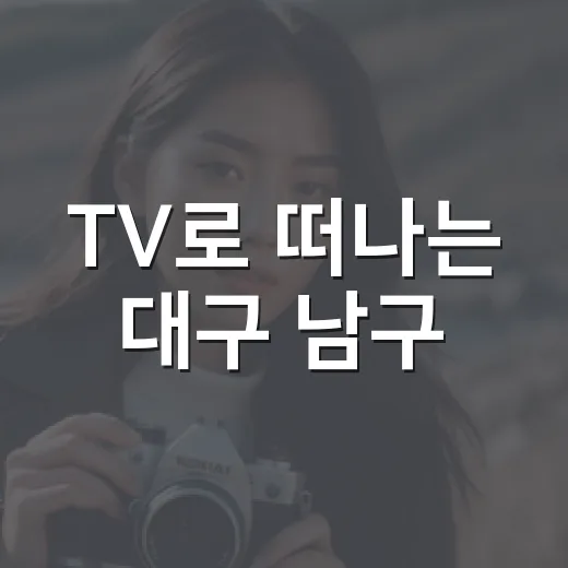 TV로 떠나는 대구 남구