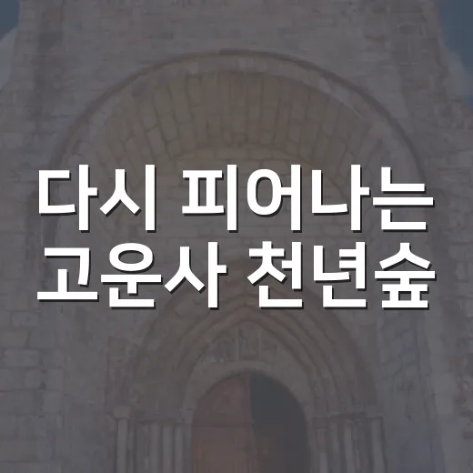 다시 피어나는 고운사 천년숲