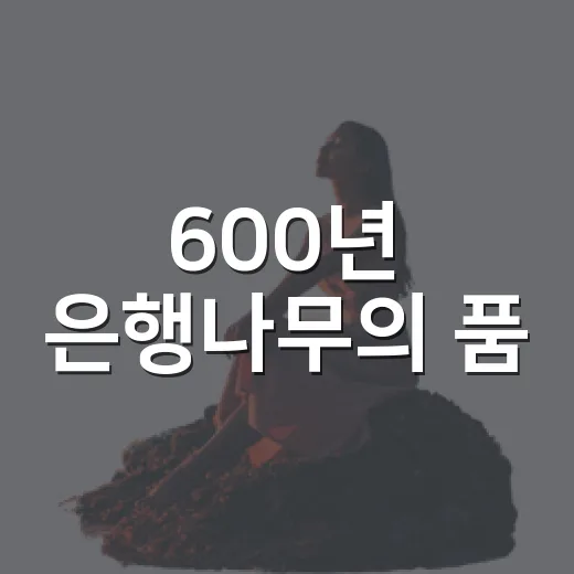 600년 은행나무의 품