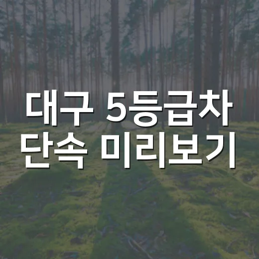 대구 5등급차 단속 미리보기