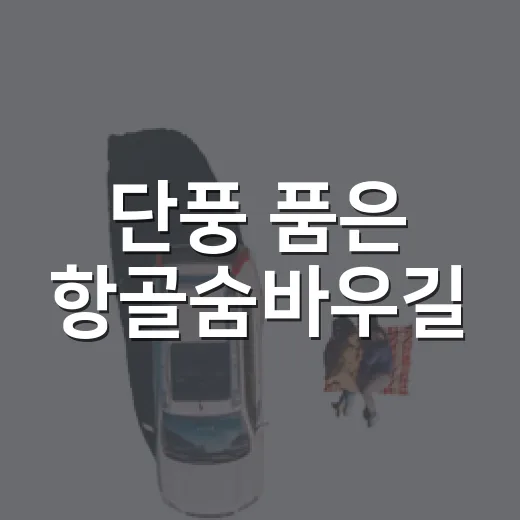 단풍 품은 항골숨바우길