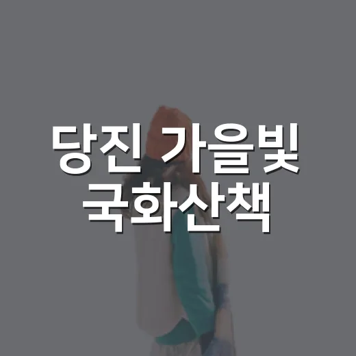 당진 가을빛 국화산책