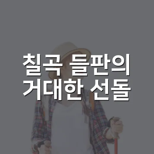 칠곡 들판의 거대한 선돌