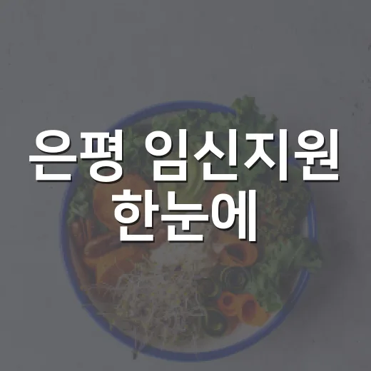 은평 임신지원 한눈에