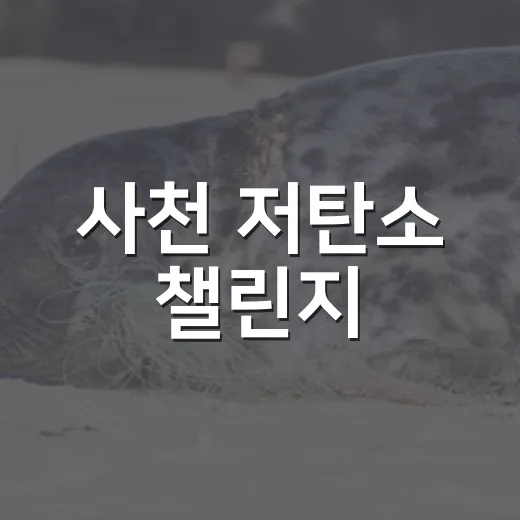 사천 저탄소 챌린지
