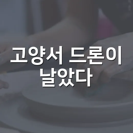 고양서 드론이 날았다