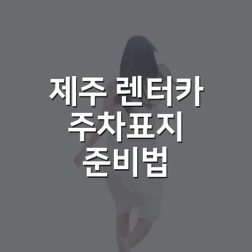 제주 렌터카 주차표지 준비법