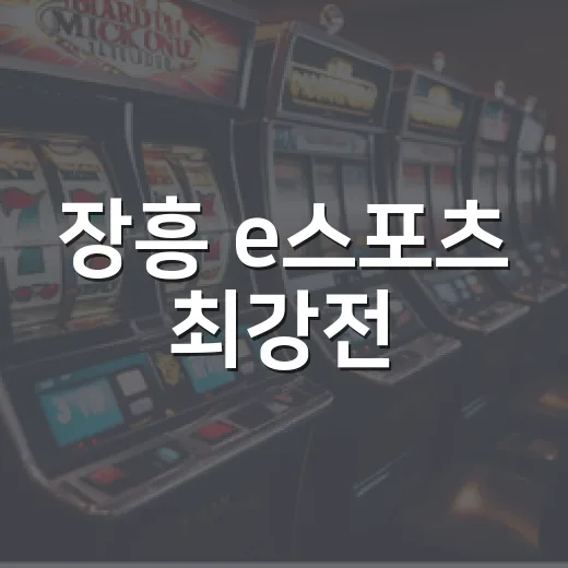 장흥 e스포츠 최강전