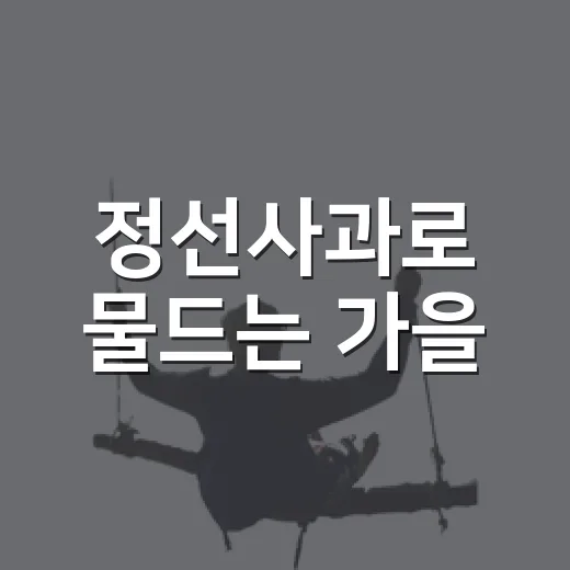 정선사과로 물드는 가을
