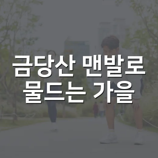 금당산 맨발로 물드는 가을