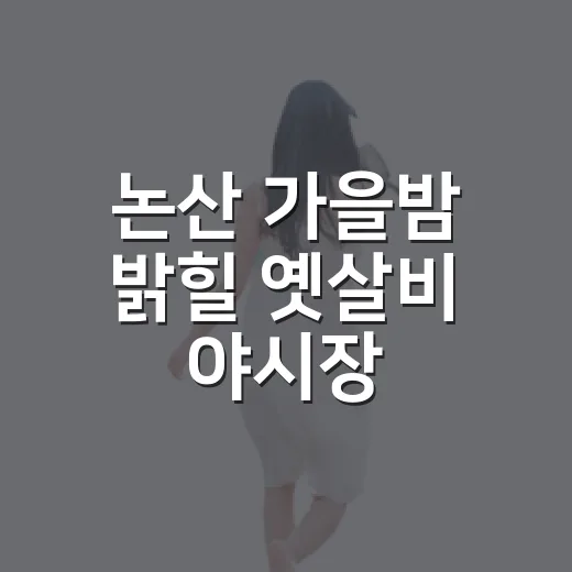 논산 가을밤 밝힐 옛살비 야시장