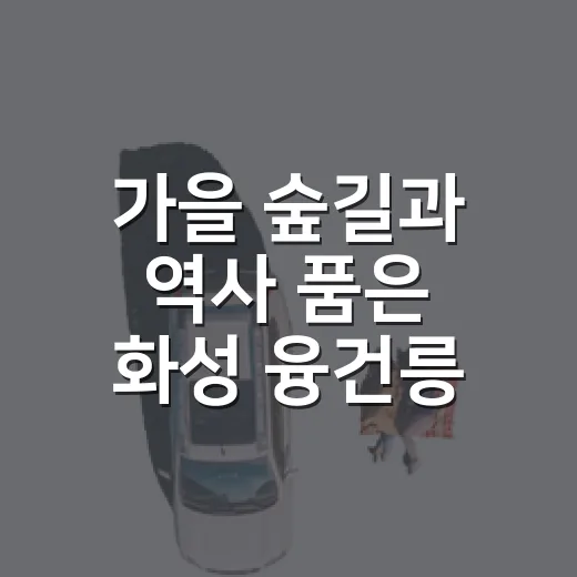 가을 숲길과 역사 품은 화성 융건릉 산책