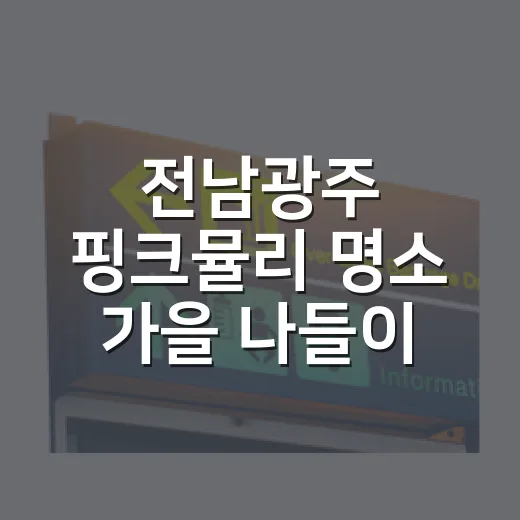 전남광주 핑크뮬리 명소 가을 나들이 추천